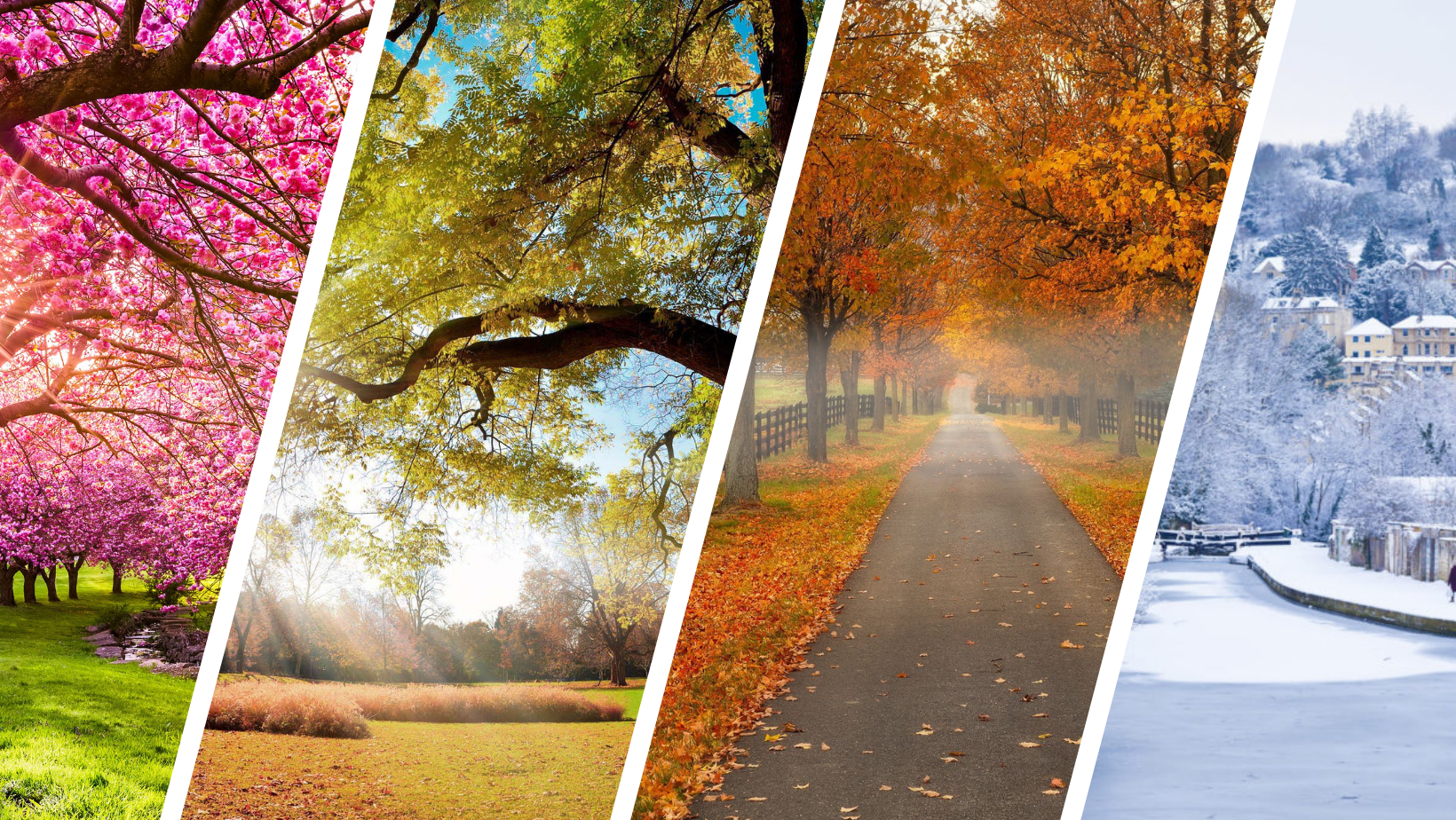 Seasonal Wedding Invitations Inspiration for Spring, Summer, Autumn,