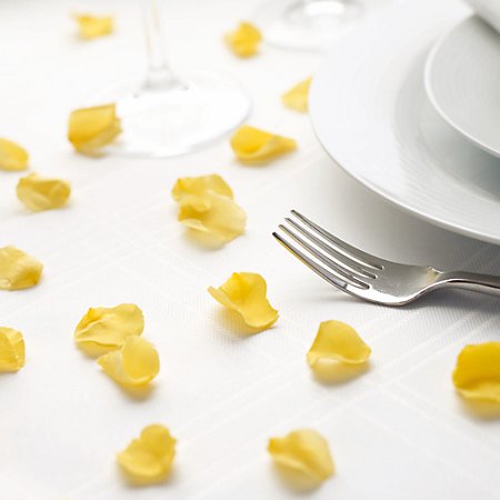 Wedding Theme Colours: Zesty Lemon