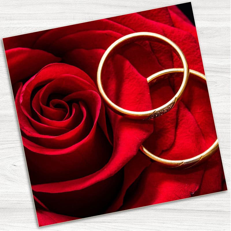 Red Rose Wedding Rings Wedding Evening Invitation.
